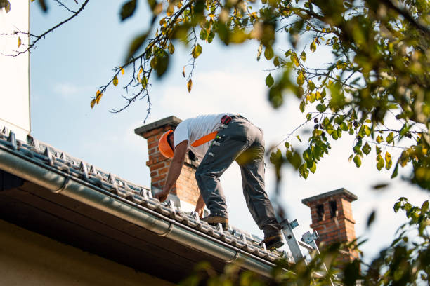 Best Roof Repair Services  in Shaker Heights, OH